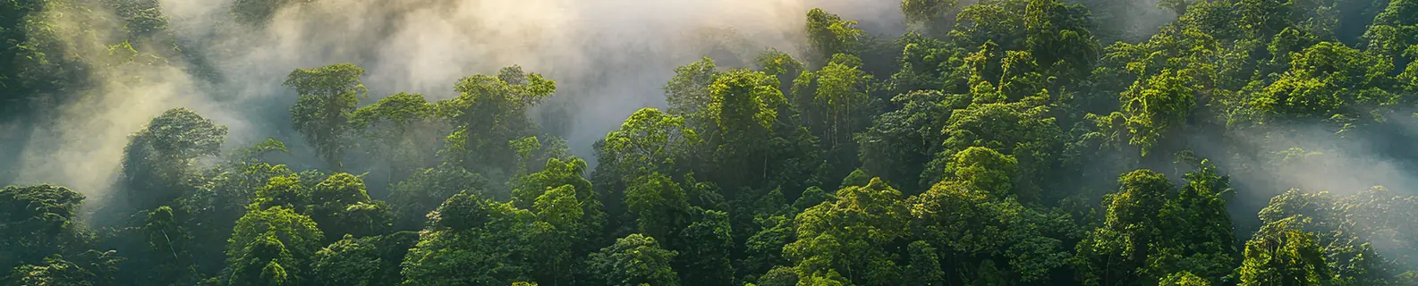 ESG & Sustainability Commitment