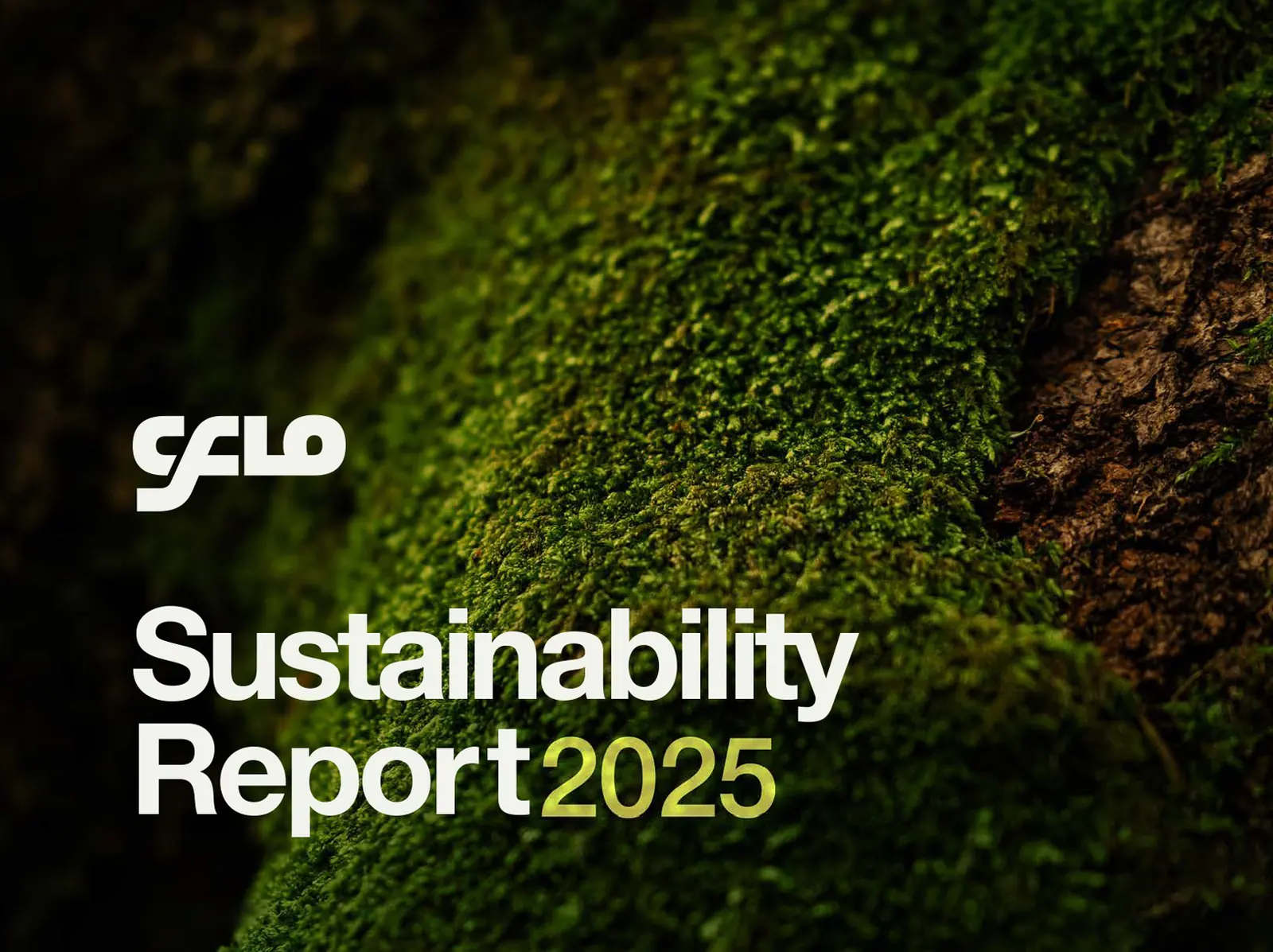 CFlo Sustainability Report FY 2025, developed in accordance with GRI Standards