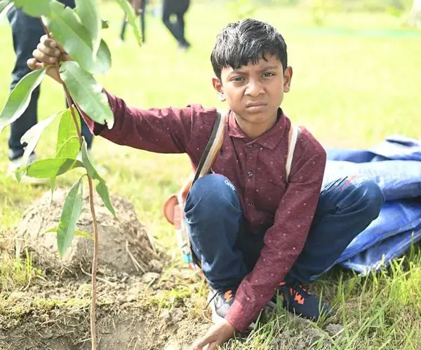 CFlo recently undertook a mass tree plantation drive: photo 9