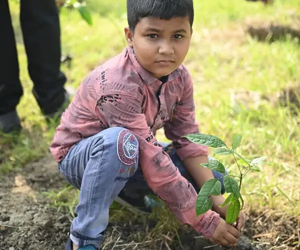 CFlo recently undertook a mass tree plantation drive: photo 10