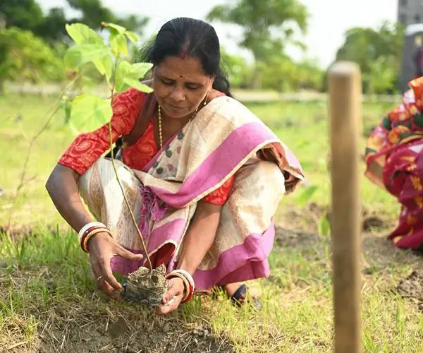 CFlo recently undertook a mass tree plantation drive: photo 11