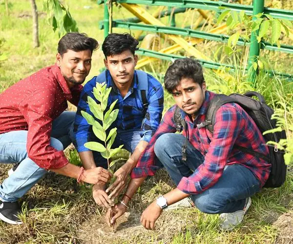 CFlo recently undertook a mass tree plantation drive: photo 12
