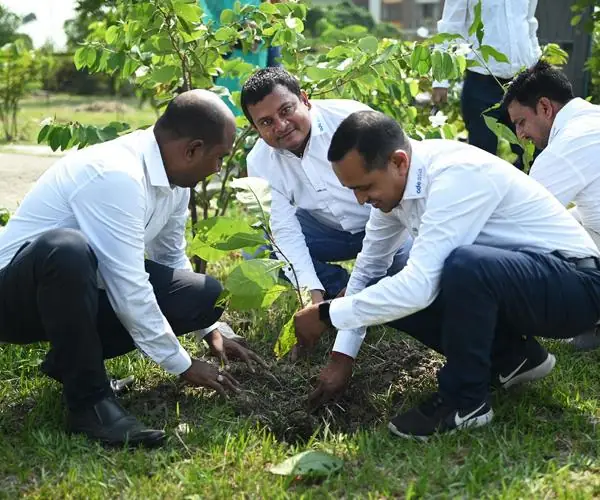 CFlo recently undertook a mass tree plantation drive: photo 1