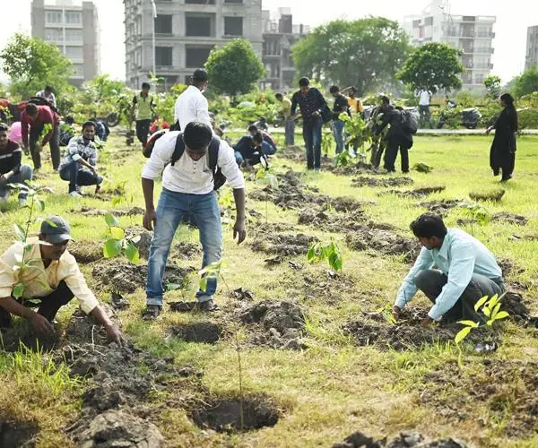 CFlo recently undertook a mass tree plantation drive: photo 7