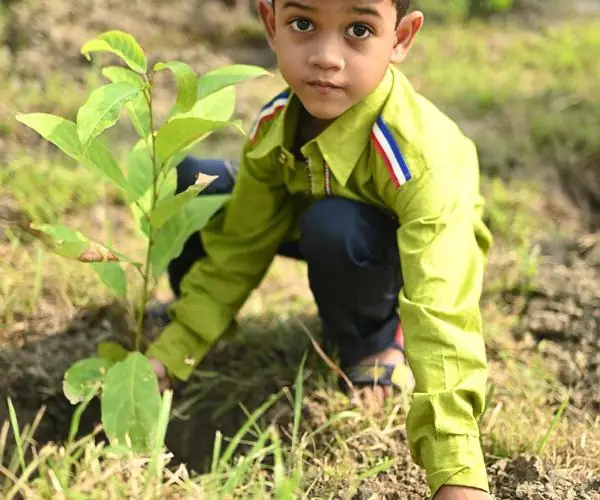 CFlo recently undertook a mass tree plantation drive: photo 8