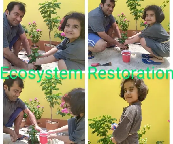World Environment Day - Virtual Celebration: photo 10