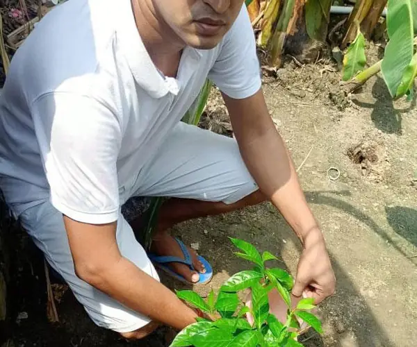 World Environment Day - Virtual Celebration: photo 12