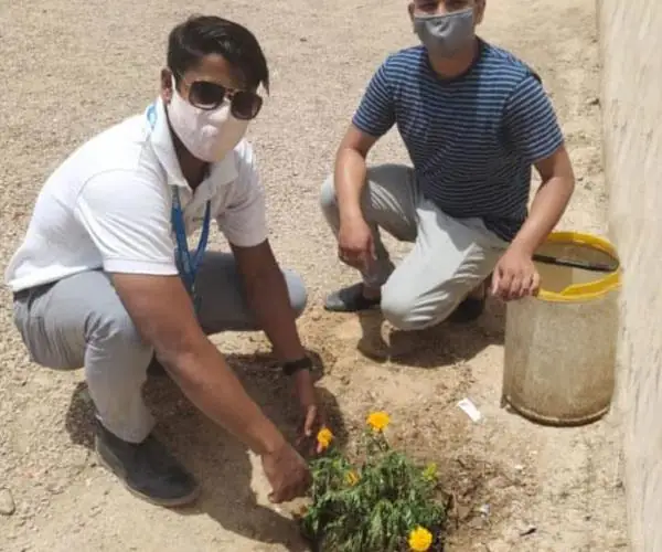World Environment Day - Virtual Celebration: photo 21