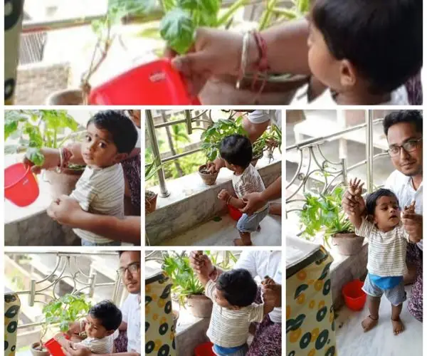 World Environment Day - Virtual Celebration: photo 6