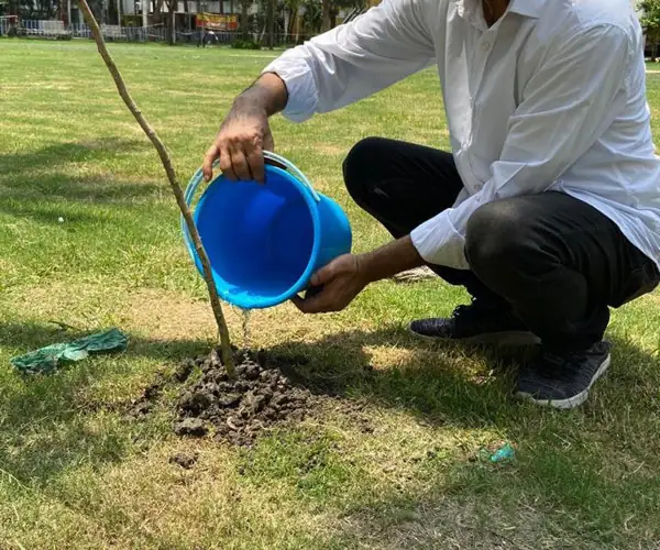 World Environment Day - Virtual Celebration: photo 7