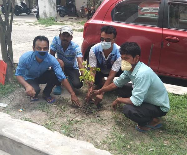 CFlo Team celebrating World Environment Day