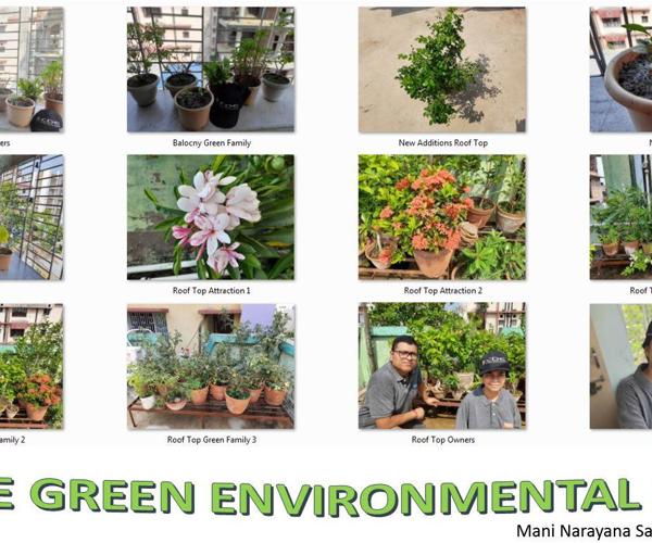 CFlo Team celebrating World Environment Day