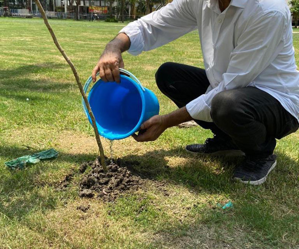 CFlo Team celebrating World Environment Day