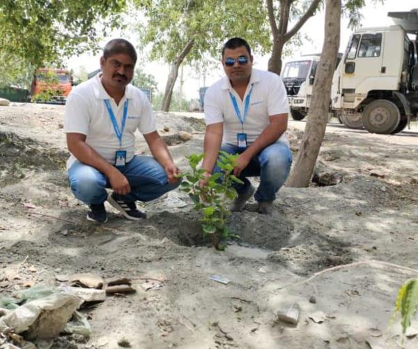 CFlo Team celebrating World Environment Day