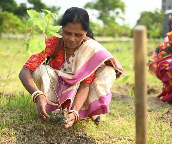 CFlo organizes mass tree plantation drive to facilitate its mission of ‘net zero carbon Emission’ by 2030