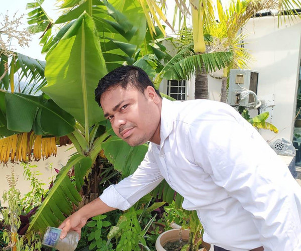 CFlo Team celebrating World Environment Day